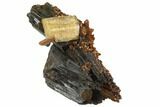 Black Tourmaline, Fluorite & Goshenite Association - Namibia #90691-1